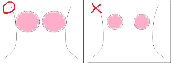 女性の乳房の正しい位置関係